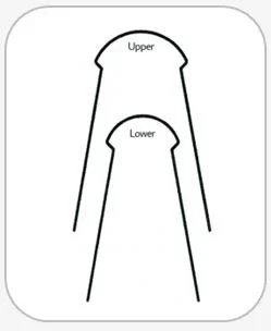 3B ORTHO-LINGUAL NiTi Archwires second